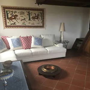 Le Pavoncelle Di Appartamento